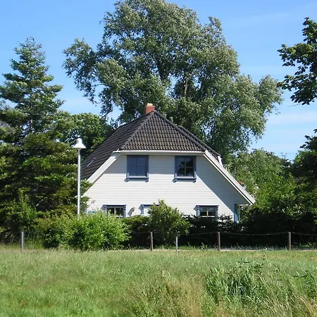 Munzert In Thiessow